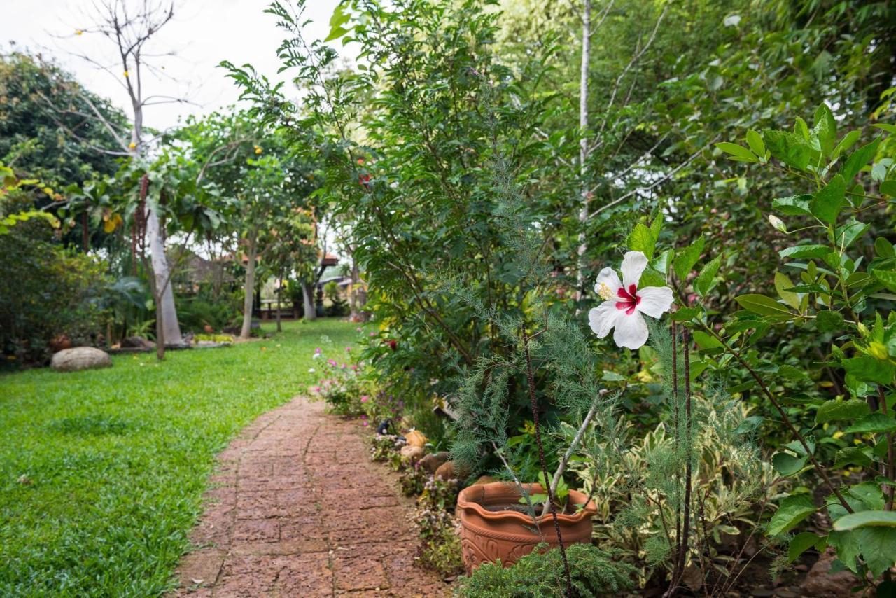 Cattani's Riverside * Phra Nakhon Si Ayutthaya